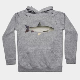 Grass Carp Hoodie